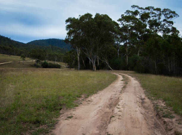 an unmade track in the Victorian High Country, Australia stock photo