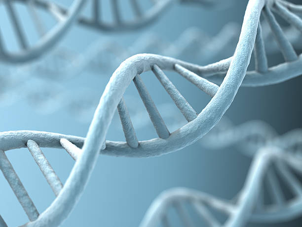 An up close picture of DNA strands stock photo