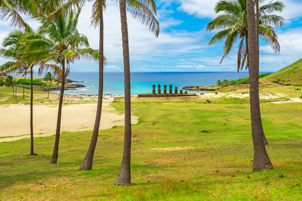 Anakena Beach, Easter Island, Chile Palm Trees on Anakena Beach with the silhouette of the Moai of Ahu Nao Nao archaeological site, Rapa Nui (Easter Island), Chile. rapa nui stock pictures, royalty-free photos & images