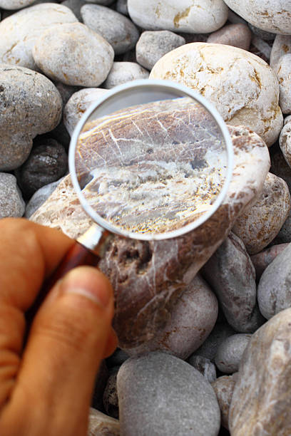 Analyzing with magnifier Analyzing with magnifier geologist stock pictures, royalty-free photos & images