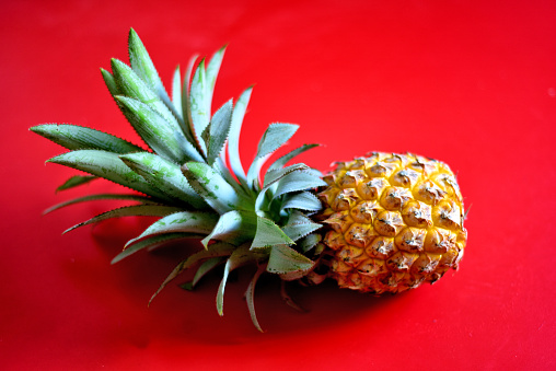 Ananas on red background