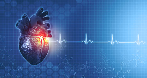 anatomia do coração humano no fundo médico ecg - cardiologista - fotografias e filmes do acervo