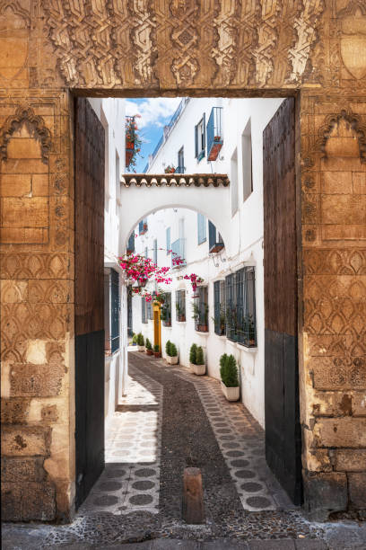Ancient gate and street in Cordoba, Spain. Ancient gate and street in Cordoba, Spain . cordoba spain stock pictures, royalty-free photos & images