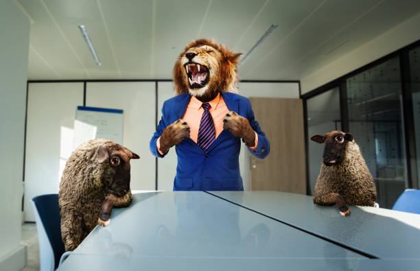 Angry boss lion in the suit with sheep employees Angry boss lion in the suit with sheep employees stand and tear shirt using paws near desk roaring, business concept lamb animal stock pictures, royalty-free photos & images
