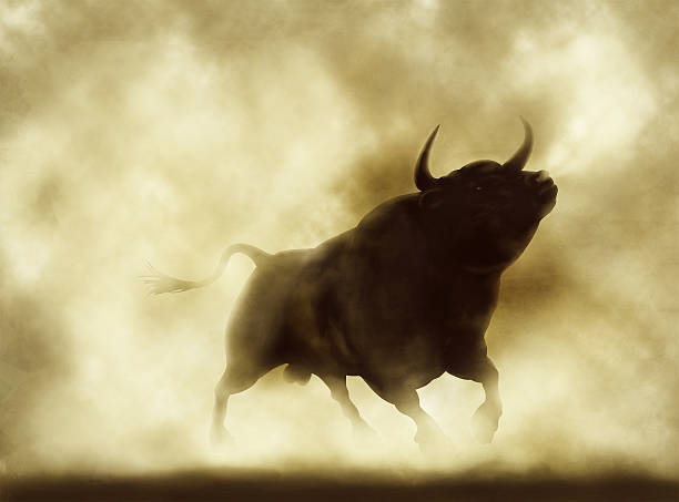 Angry bull Illustration of an angry bull silhouette in a smoky or dusty atmosphere snorting stock pictures, royalty-free photos & images