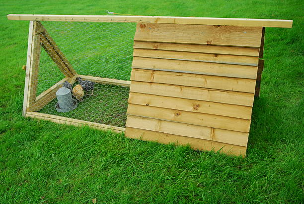 animal hutch or run animal hutch and run rabbit hutch stock pictures, royalty-free photos & images