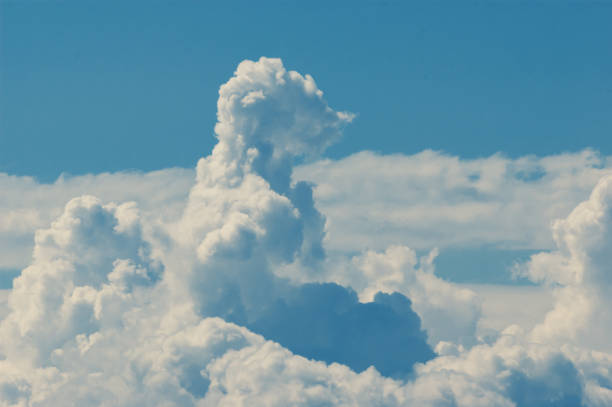 Animal shaped cloud resembling meerkat in a blue sky stock photo