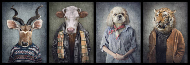 Animals in clothes on vintage style. People with heads of animals. Concept graphic, photo manipulation for cover, advertising, prints on clothing and other. Antelope, cow, dog, tiger. stock photo