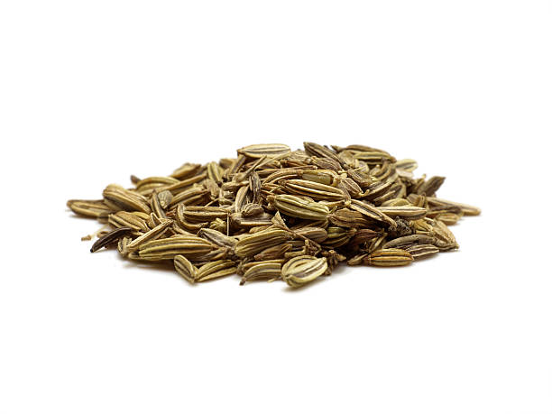 aniseed caraway  fennel isolated on white  anise stock pictures, royalty-free photos & images