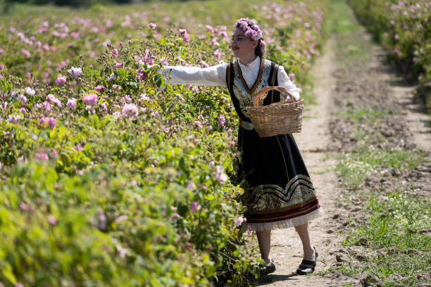 annual Kazanlak Rose picking Festival in Bulgaria stock photo