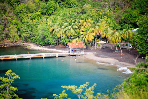 Anse Noire Beach in Martinique stock photo