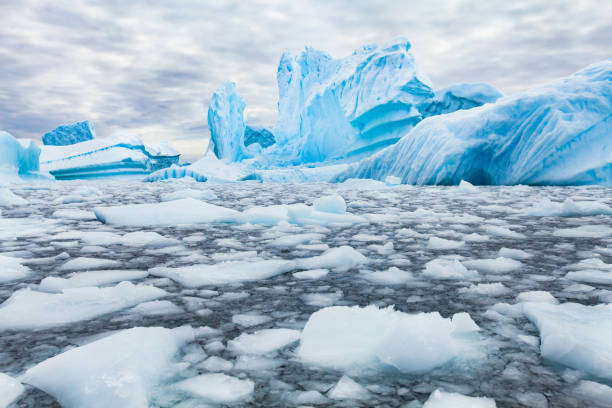Antarctica beautiful landscape, blue icebergs stock photo