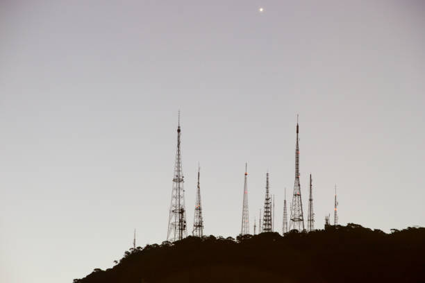 antennas on the sumare hill antennas on the sumare hill in Rio de Janeiro. animal antenna stock pictures, royalty-free photos & images