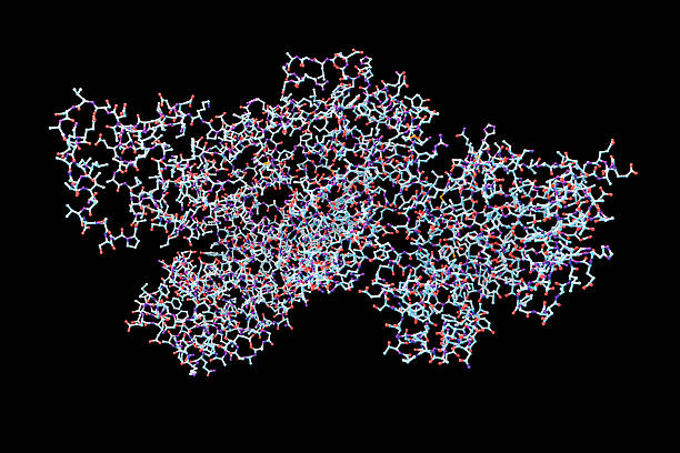 Anthrax lethal toxin molecule Lethal toxin of anthrax bacterium Bacillus anthracis isolated on black background, 3D illustration. Molecular background Anthrax stock pictures, royalty-free photos & images