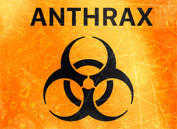 Anthrax. Sign indicating the presence of Biological hazards, biohazards, refer to biological substances that pose a threat to the health of living organisms. Viruses and bacteria Anthrax. Sign indicating the presence of Biological hazards, biohazards, refer to biological substances that pose a threat to the health of living organisms, primarily that of humans. Viruses and bacteria Anthrax stock pictures, royalty-free photos & images