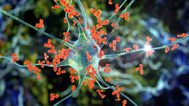Antibodies attacking neuron Antibodies attacking neuron, 3D illustration. Concept of autoimmune neurologic diseases multiple sclerosis stock pictures, royalty-free photos & images