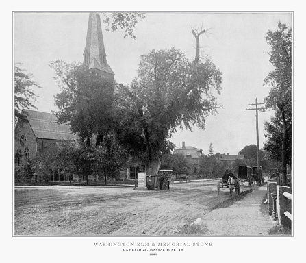 Antique American Photograph: Washington Elm and Memorial Stone, Cambridge, Massachusetts, United States, 1893: Original edition from my own archives. Copyright has expired on this artwork. Digitally restored.