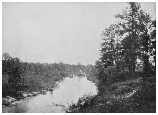 Antique black and white photo of the United States: Buffalo Bayou, Texas Antique black and white photo of the United States: Buffalo Bayou, Texas swamp photos stock illustrations