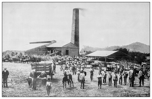 Antique black and white photograph of people from islands in the Caribbean and in the Pacific Ocean; Cuba, Hawaii, Philippines and others: Sugar mill, Havana, Cuba