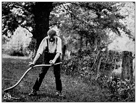 Antique dotprinted black and white photograph: Cutting grass