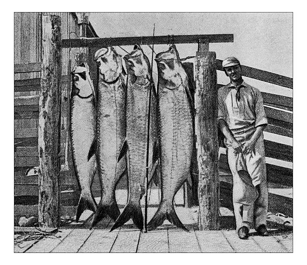 ilustrações de stock, clip art, desenhos animados e ícones de antique dotprinted photograph of hobbies and sports: tarpon fishing - fisherman