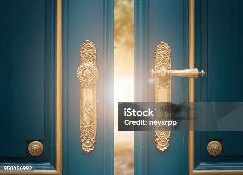istock antique ornate gold door handle 950456992