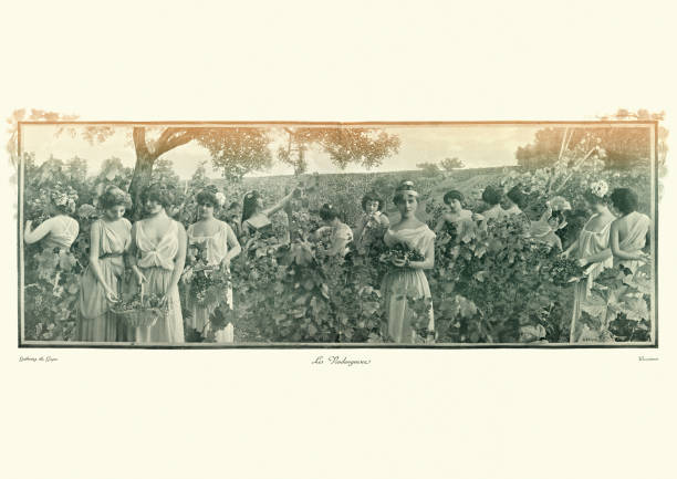 Antique photomontage photograph, Young women harvesting grapes, Victorian Antique photomontage photograph, Young women harvesting grapes, Victorian, 19th Century. vineyard photos stock pictures, royalty-free photos & images
