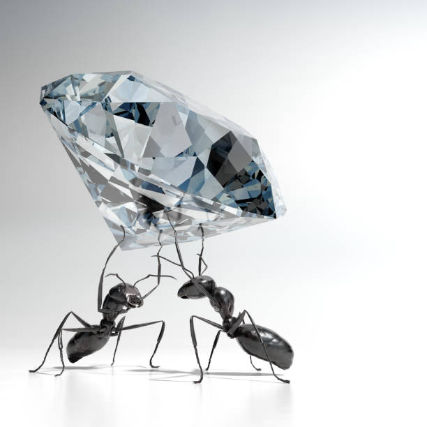 Ants carrying a Diamond stock photo