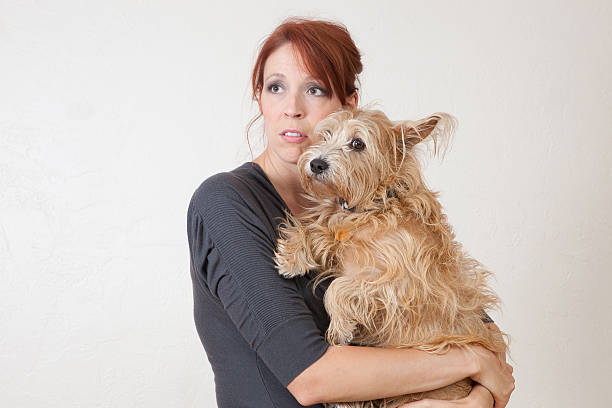 Anxious woman with dog stock photo