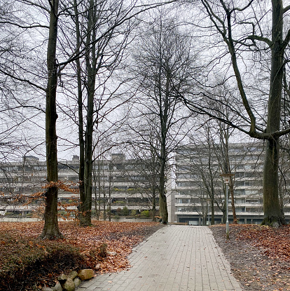 50 year-old Concrete apartment buildings, placed in natural parkland in a Copenhagen suburb.
