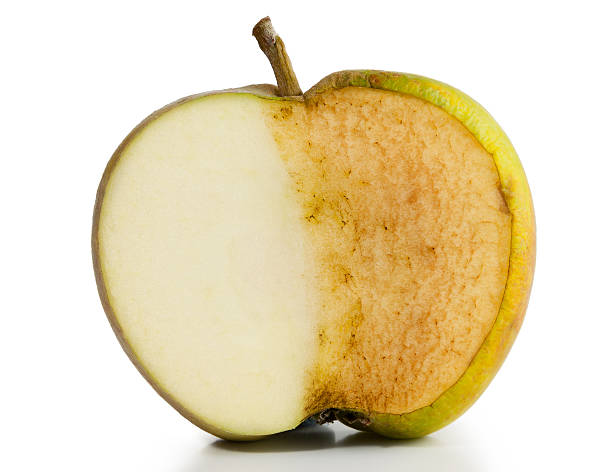 Apple Fresh and Decayed stock photo