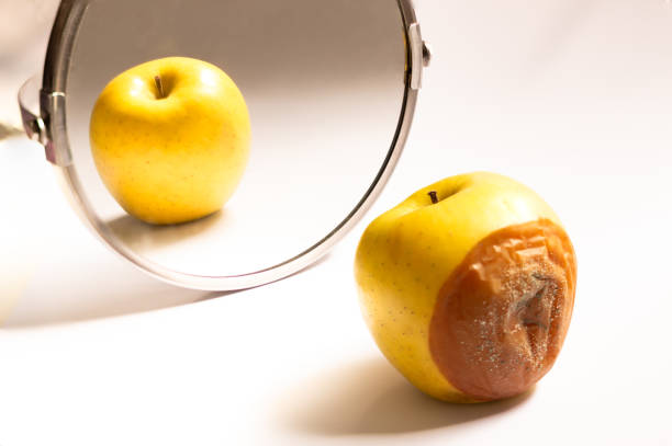 Apple in good condition looking at itself in the mirror while its back is rotten. Deception stock photo