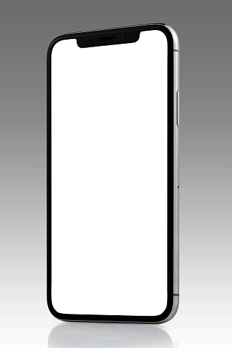 Apple Iphone X Silver White Blank Screen
