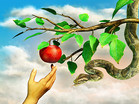 Eva's hand reaching for the forbidden apple. A snake is hanging from the tree. Digital illustration.