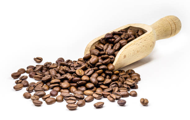 Arabica roasted coffee in brazilwood spoon, coffee seeds with copy space stock photo