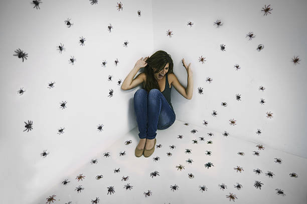 Arachnophobic's worst nightmare come true! A young woman crouched in terror while surrounded by spiders arachnophobia stock pictures, royalty-free photos & images