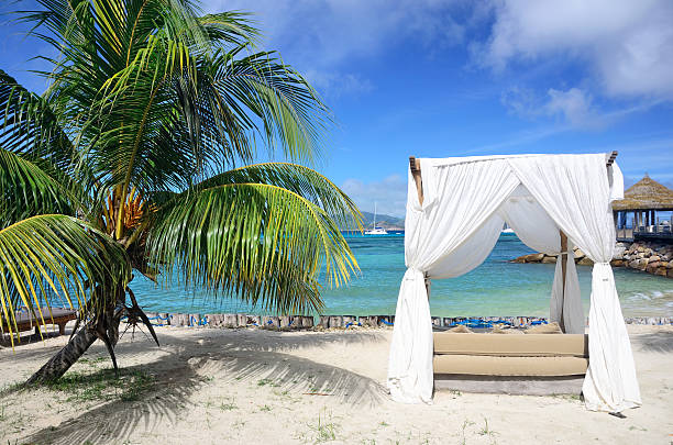Arbor on tropical beach Seychelles is the most beautiful tropical islands of the world's in the Indian Ocean beach hut stock pictures, royalty-free photos & images