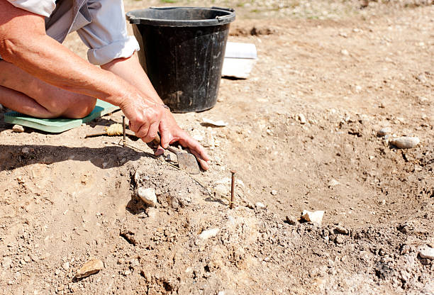 archäologischen ausgrabungen - archäologe stock-fotos und bilder