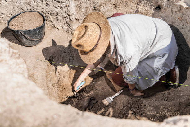 archäologe deckt artefakte auf - archäologe stock-fotos und bilder
