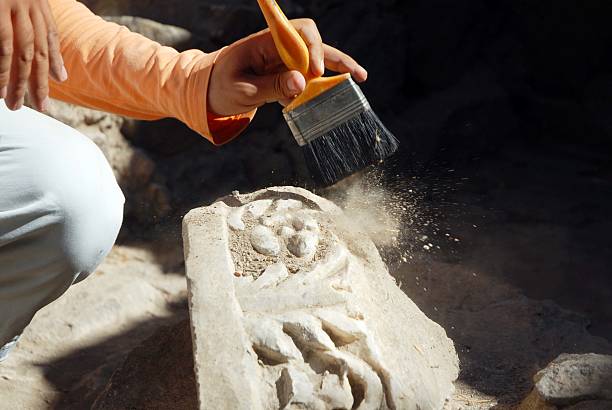 archaeology graduate student brushing a fossil - arkeologi bildbanksfoton och bilder