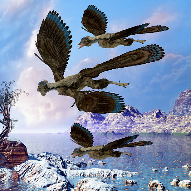 Best Archaeopteryx Stock Photos, Pictures & Royalty-Free Images - iStock