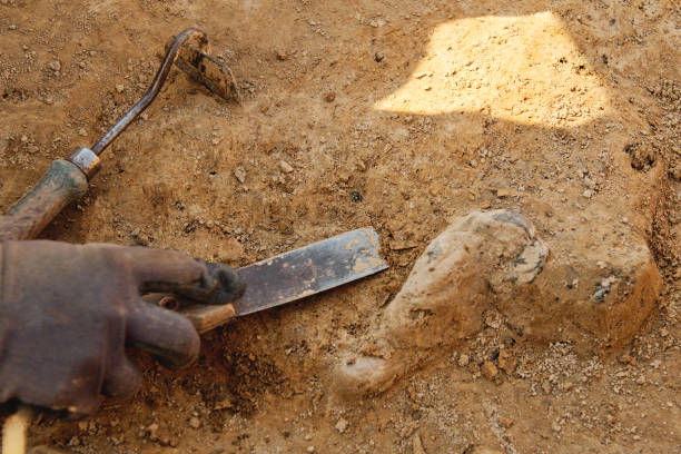 archäologische werkzeuge, archäologe arbeiten vor ort, hand und werkzeug. - archäologe stock-fotos und bilder