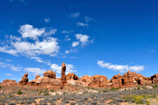 Arches National Park, Utah Red rock formations at Arches National Park, Utah. entrada sandstone stock pictures, royalty-free photos & images