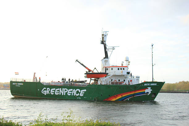 Photograph 10X15 1962 Built Greenpeace Vessel SEA SHEPHERD Ship Photo 6X4 