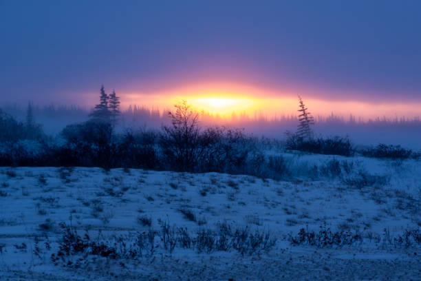 Arctic sunset stock photo