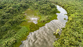 istock Areal view of a typical river in Pantanal Wetlands 1385927105