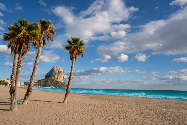 Arenal Bol beach in Calpe Calp of Alicante at Mediterranean Arenal Bol beach in Calpe Calp palm trees of Alicante at Mediterranean Spain calpe stock pictures, royalty-free photos & images