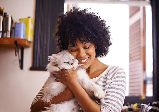 Aren't you so cute! Shot of a beautiful young woman enjoying a cuddle with her cathttp://195.154.178.81/DATA/i_collage/pi/shoots/784178.jpg domestic cat stock pictures, royalty-free photos & images