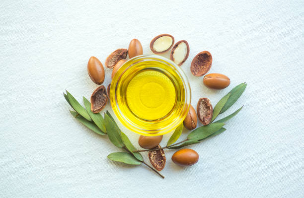 Argan seeds and oil isolated on a white background. Argan oil nuts with plant. Cosmetics and natural oils background stock photo