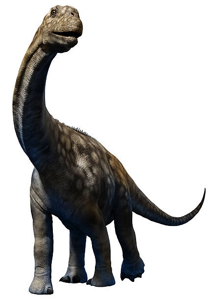 Argentinosaurus juvenile stock photo